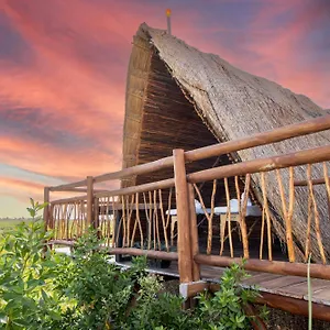 Casa Hx - Adults Only 4*, Holbox Mexique